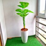 Summa Floor Planter - Image 4