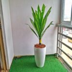 Summa Floor Planter - Image 3