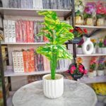 Stripped Vase White - Image 2