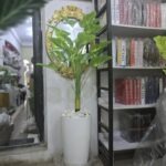 Summa Floor Planter - Image 2