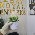 White Stripped Pots - Image 3