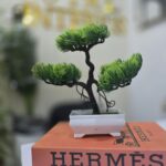 Welcoming Pine - Image 7