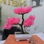 Welcoming Pine - Image 4