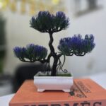Welcoming Pine - Image 2